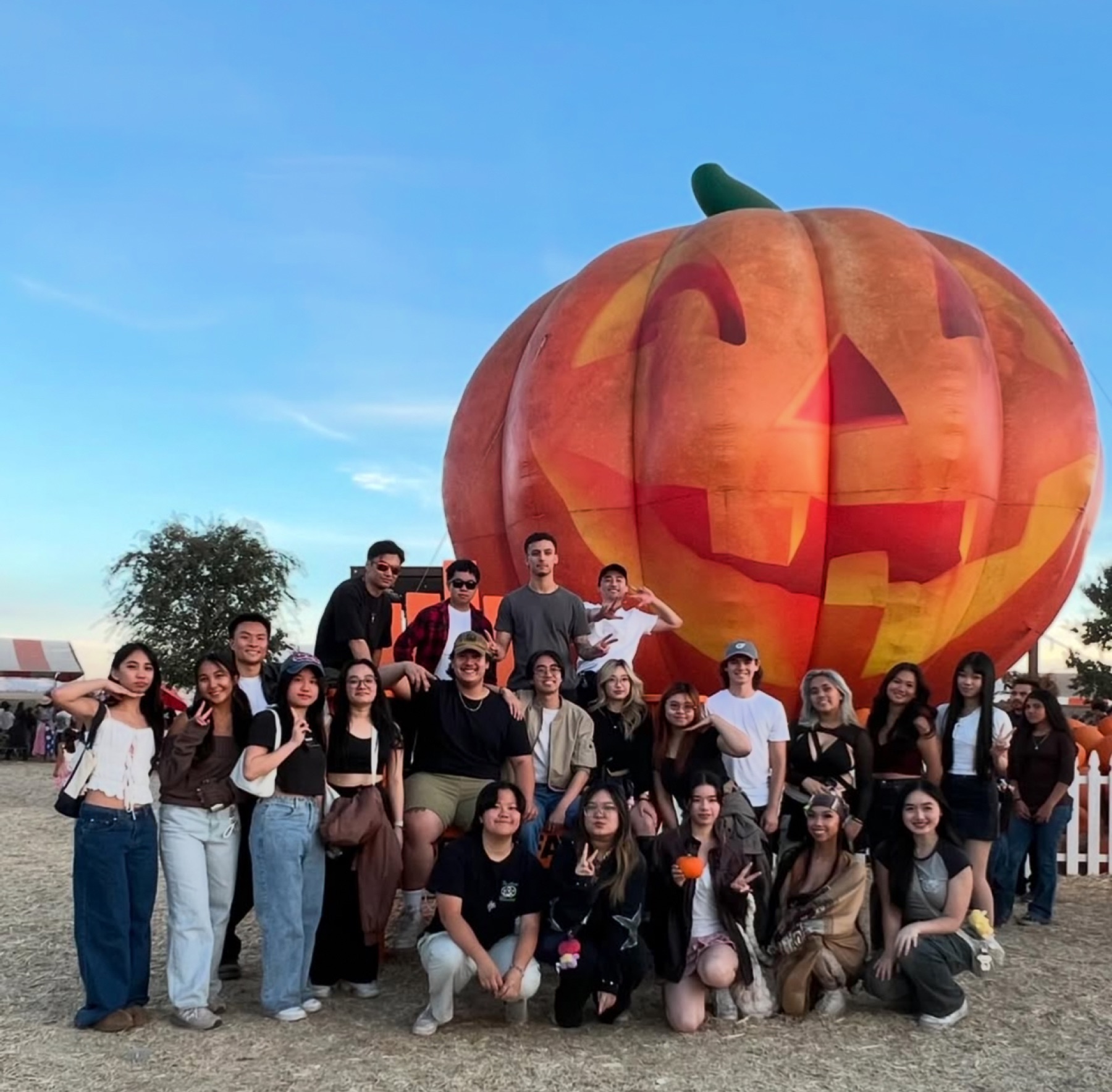 Pumpkin patch fam
